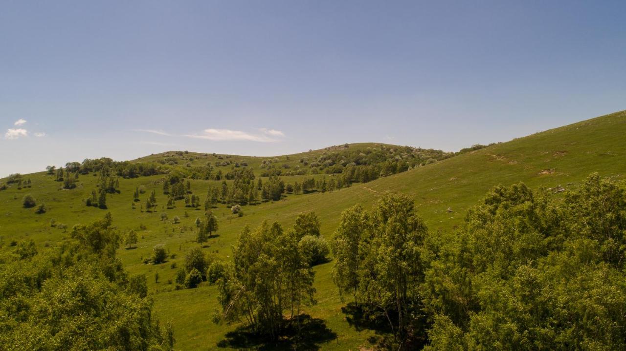 Vila Vila Tea Novi Vinodolski Exteriér fotografie