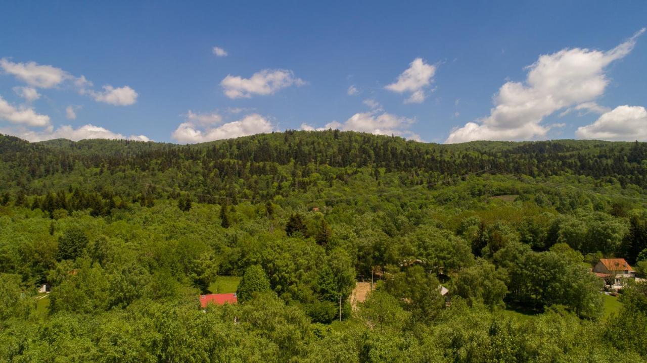 Vila Vila Tea Novi Vinodolski Exteriér fotografie